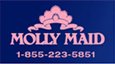 MOLLY MAID MOLLY MAID