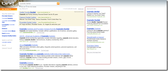 bing-serp-screenshot