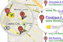 Google Tags for Local Business Search