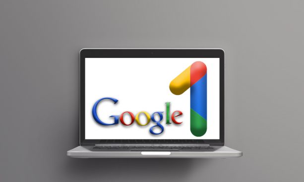 Google +1 Button and the Google+ Network