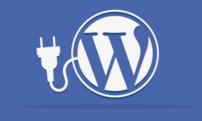 WordPress Custom Plug-In Development 101