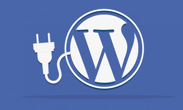 WordPress Custom Plug-In Development 101