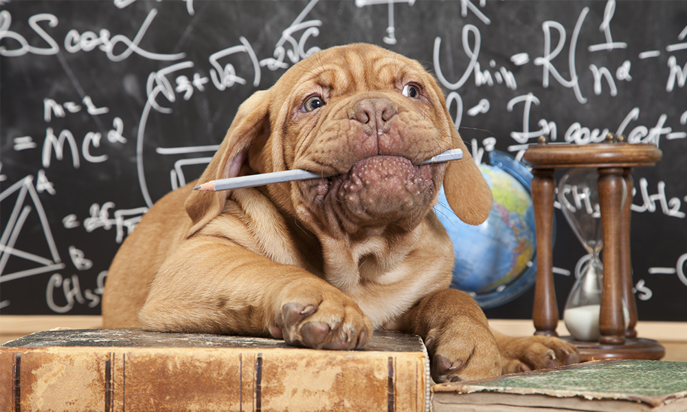 This Week In Internet Marketing 2012 10 16