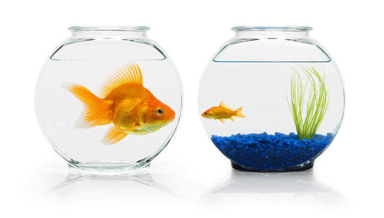 5 Simple A/B Testing Methods To Increase Your Ad Revenues