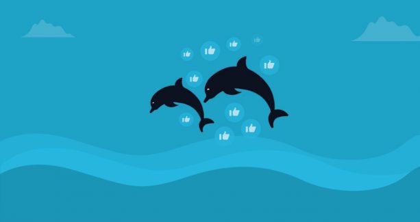 SeaWorld vs. Blackfish: A Crisis PR War Rages On Social Media