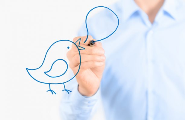 Pinterest Versus Twitter: Which Should My Business Use?