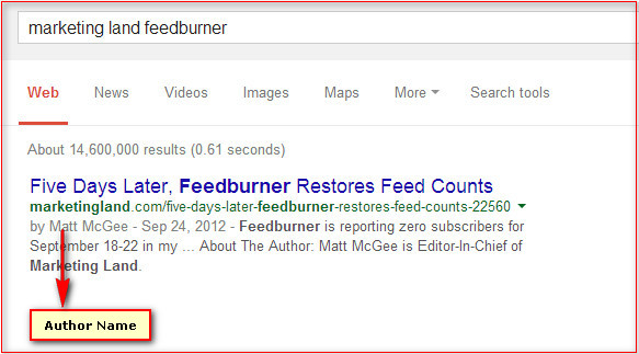 Author Snippet in SERP - After the update