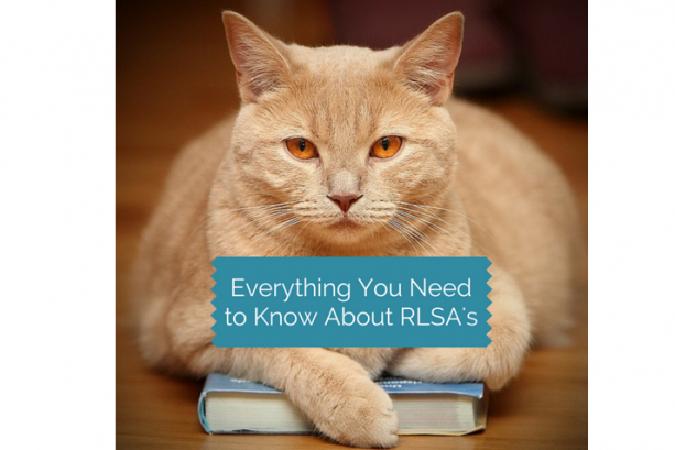 Everything you need to know about RLSA