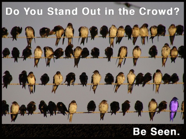 stand out in the crowd
