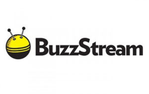 SEO Tool - BuzzStream