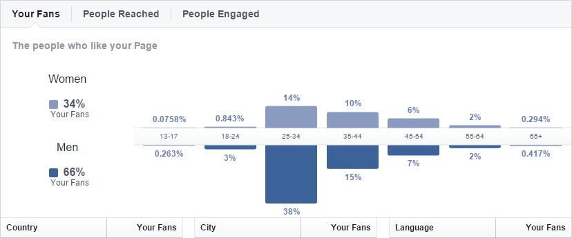 Demographics Facebook Insights TechWyse