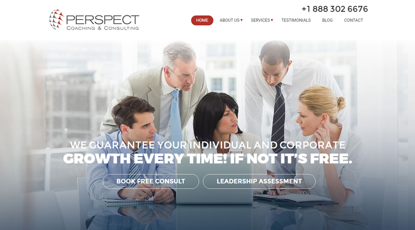 Perspect Management Consulting Desktop
