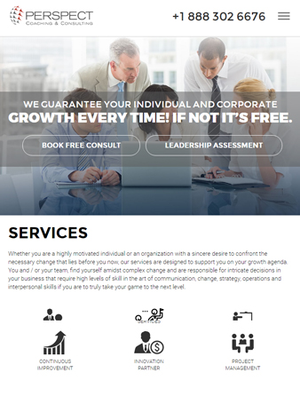 Perspect Management Consulting ipad