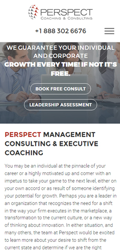 Perspect Management Consulting Mobile