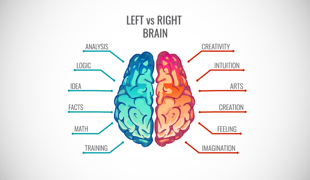 Left Brain Vs Right Brain