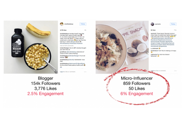 Niche Micro-Influencer Campaigns