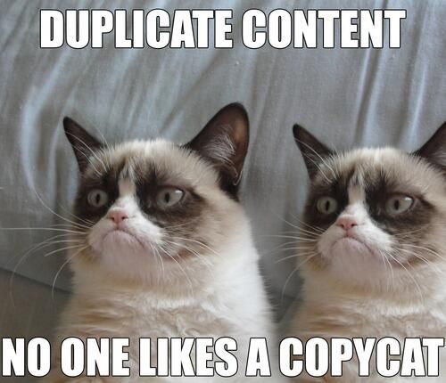 Create unique content - Copycat mem
