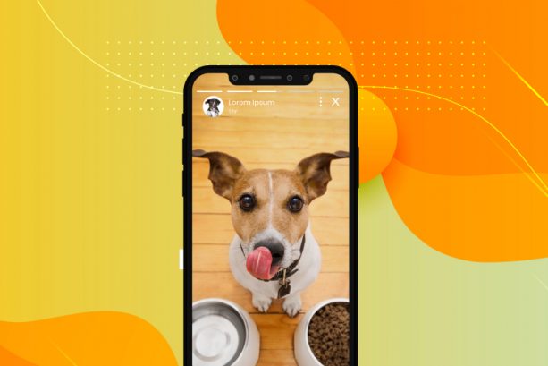 Facebook Story Ads