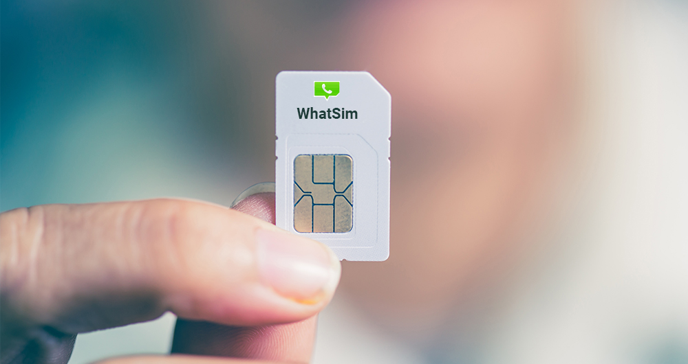 What is WhatSim?