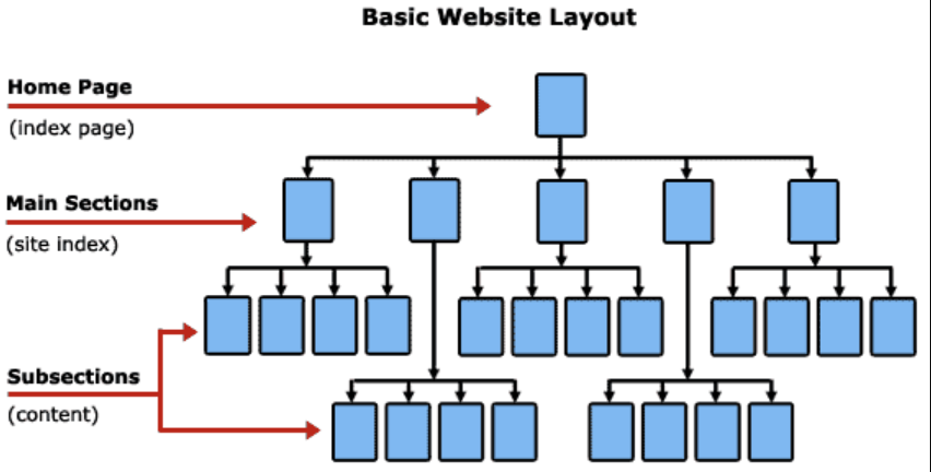 Basic Website layout