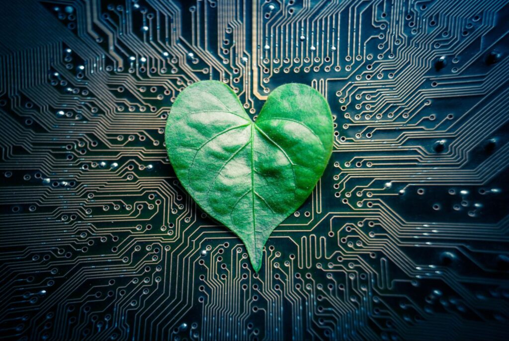green leaf on computer