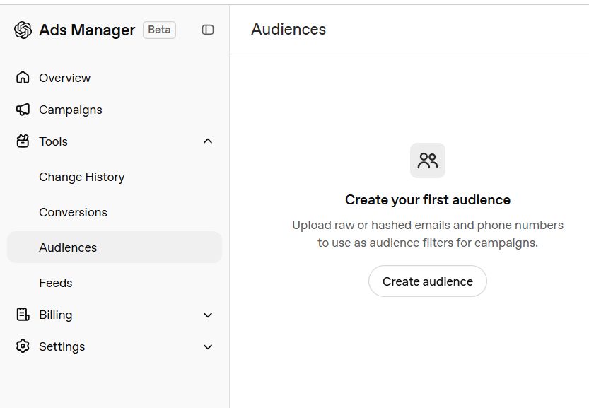 Audience Settings - ChatGPT