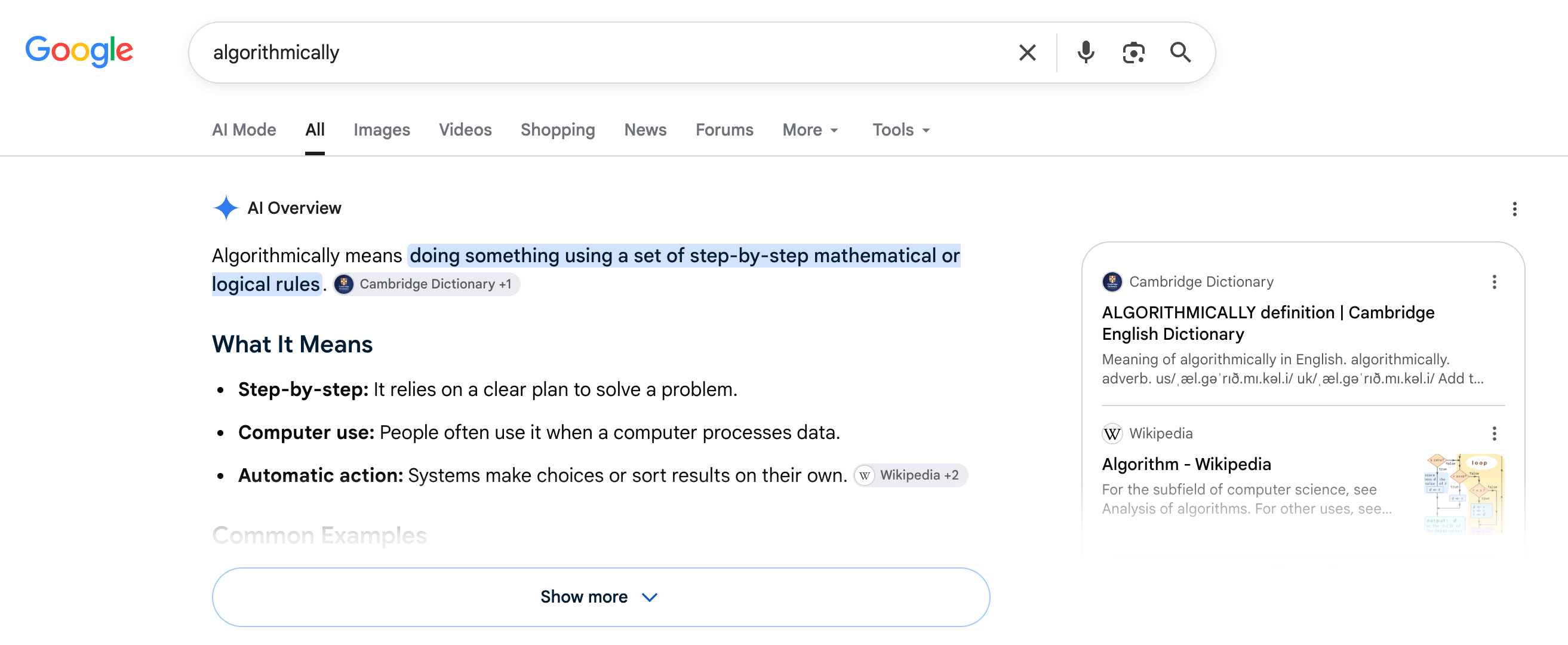 Google AI Overview Show More Button